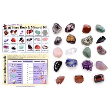 Rock and Mineral Educational Collection & Deluxe Collection Box -18 Pieces with Description Sheet and Educational Information. Limited Edition, Geology Gem Kit for Kids with Display Case, Dancing Bear