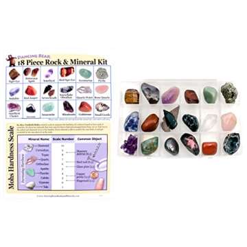 Rock and Mineral Educational Collection & Deluxe Collection Box -18 Pieces with Description Sheet and Educational Information. Limited Edition, Geology Gem Kit for Kids with Display Case, Dancing Bear