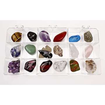 Rock and Mineral Educational Collection & Deluxe Collection Box -18 Pieces with Description Sheet and Educational Information. Limited Edition, Geology Gem Kit for Kids with Display Case, Dancing Bear