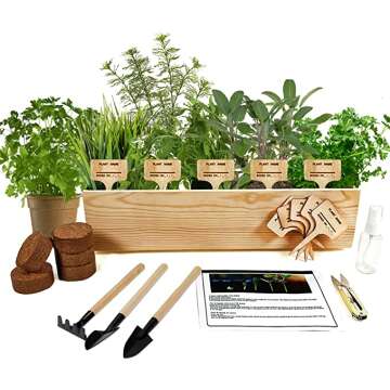 Organic Complete Planting Windowsill Cilantro