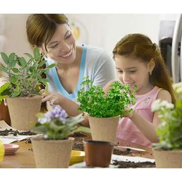 Organic Cilantro Kit