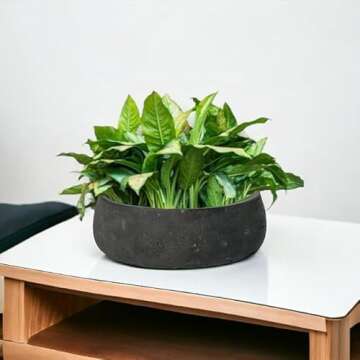 Pottery Pots Elegant Low Planter Pot Modern Heavy Fiberstone | Deorative Plant Pot Indoor Outdoor Black Washed 4.5" H x 11.5"