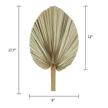 Natural Large Dried Palm Leaves-3 Pcs 17.7 Inch Dried Palm Spears Plant for Boho Style Art Wall Hanging Ornament | Neutral Home House Decor | Wedding Decor | Party Decoration | Flower and Leaf Decor