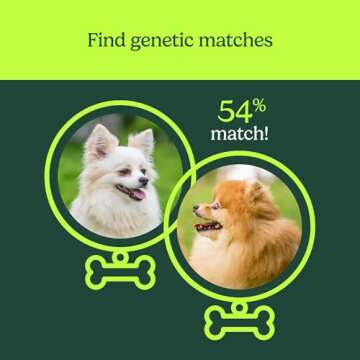 Dog DNA Test by Ancestry: The Top-Selling DNA Consumer Brand | at-Home Testing | Breed Identification & Trait Insights | Canine Genetics Analysis | Unique Pet Parent Gift | New Puppy Essentials