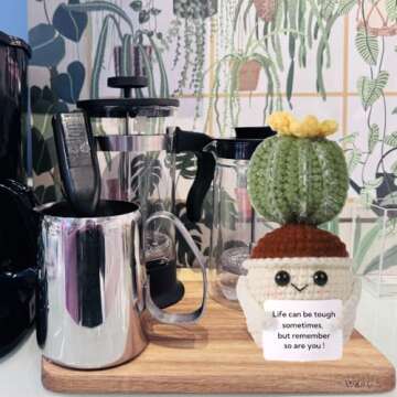 Handmade Crochet Mini Funny Potted-Positive Emotional Support Plant,Crochet Desk Decor,Crochet Flower Decor,Gift for Friends,Mother's Day Gift,Encouragement Gifts (Cactus-2)