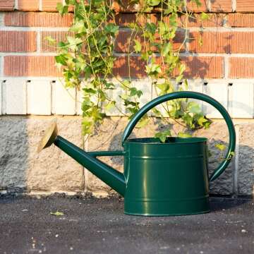 Farmhouse Watering Can