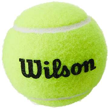 WILSON Sporting Goods WILSON Pressureless Tennis Balls - 18 Ball Bag, original version (WRT1323)