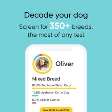 Embark Breed Identification Kit - Most Accurate Dog DNA Testing Kit - 99% Breed Ancestry Accuracy for Mixed Breed Dogs - Plus Relative Finder & Family Tree