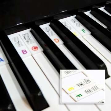 Removable Piano Keyboard Stickers for Beginners Reusable No Stickers Needed for 88/76/61/54/39/37 Keys Full Size Made of Silicone Note Letter Labels Washable (Colourful)