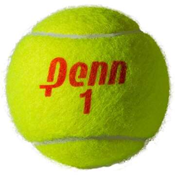 Penn Championship- Regular Duty Felt Pressurized Tennis Balls - 1 Can, 3 Balls