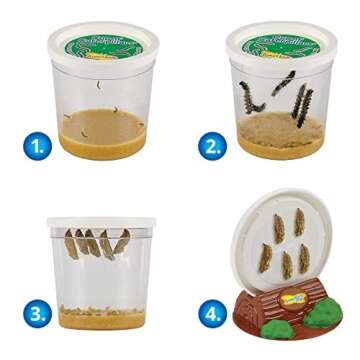 Insect Lore Butterfly Garden | Original 12" Habitat and Cup of Live Baby Caterpillars | Life Science & STEM Education Kit