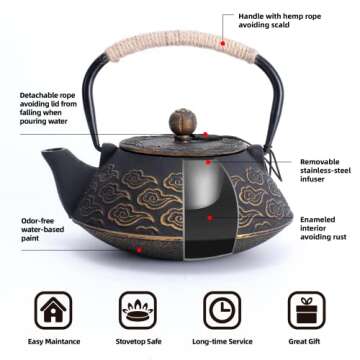 Japanese Cast Iron Teapot with Infuser and Design