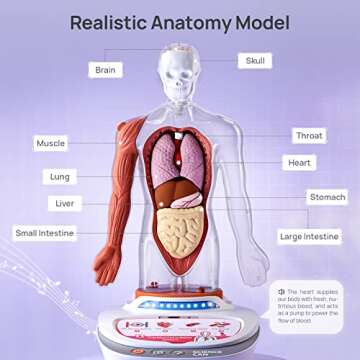 Science Can Human Body Model for Kids, Interactive Human Anatomy Talking Model - 11 Inch Realistic Anatomical Assembly Kit 15PCS Removable Parts and Guide STEM Educational Toys for Kids Aged 6+ Gifts