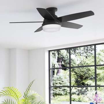 Hunter 48' Black Ceiling Fan with LED Light Remote