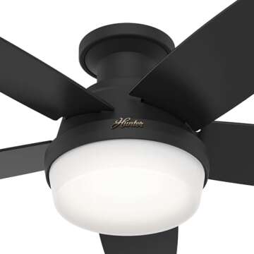 Hunter 48' Black Ceiling Fan with LED Light Remote