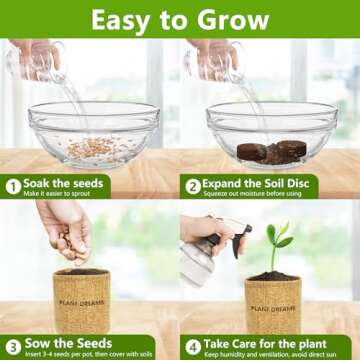 Bonsai Tree Starter Kit for Plant Lovers