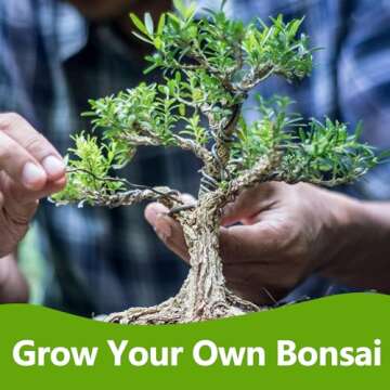 Bonsai Tree Starter Kit for Plant Lovers