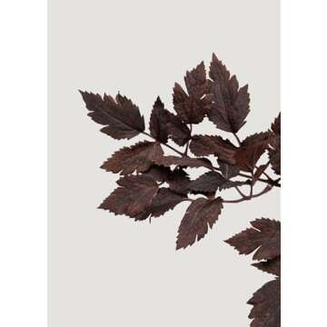 Afloral Sale Fake Plants | New Plum Artificial Cimicifuga Plant Leaf Spray - 31"