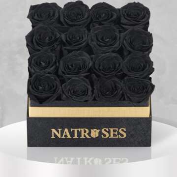 NATROSES Forever Preserved Roses in a Box, 100% Real Roses That Last Up to 3 Years, Flowers for Delivery Prime Birthday, Valentines Day Gifts for Her (Black)