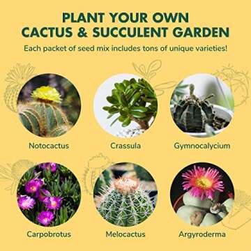 Cactus Succulent Seed Starter Kit - Indoor Garden Grow Kits, Seeds for Planting Mini Cactus Succulent Plants, Plant Markers, Soil, Pots, Wood Box - Fathers Day Gardening Gifts