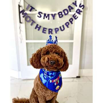 Odi Style Dog Birthday Party Supplies - Dog Birthday Bandana Set - Birthday Boy Bandana for Medium, Large Dogs, Party Hat, Crown and Cute Dog Birthday Banner with It's My Birthday Mother Puppers Sign