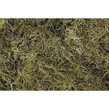 Shinoda Design Center 1 lb Bag Preserved & Dyed Light Green Spanish Moss (0905307629)