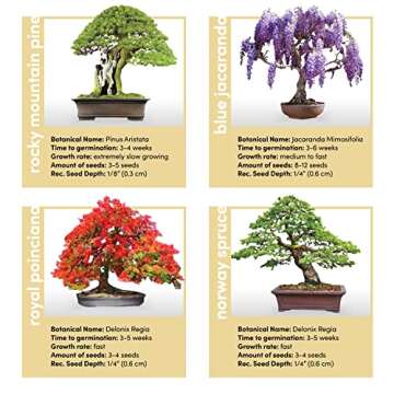 Bonsai Starter Kit - DIY Bonsai Growing Gift - Garden Hobbies for Adults, Women & Men : 4 Unique Tree Seeds, Soil, Pots, Pruning Shears, Plant Markers + Wood Gift Box