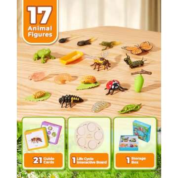 JoyCat Life Cycle Learning Education Toys, Insect Caterpillar to Butterfly kit, Ladybug, Bee, Tadpole to Frog Kit Life Cycle Toys for Kids, Preschool Learning Activities for Age 3 4 5 6 7 8