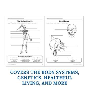 Carson Dellosa The 100+ Series: Human Body Workbook―Grades 5-8 Science Book, Human Anatomy, Bones, Muscles, Organs, the Nervous System, Health and Nutrition (128 pgs) (Volume 13)