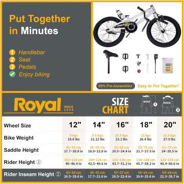 Royalbaby Freestyle Kids Bike for Ages 3-10