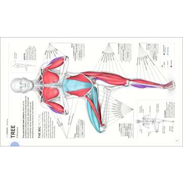 Science of Yoga: Understand the Anatomy and Physiology to Perfect Your Practice (DK Science of)