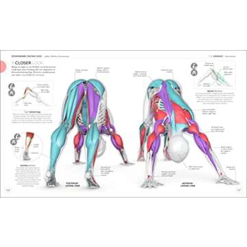 Science of Yoga: Understand the Anatomy and Physiology to Perfect Your Practice (DK Science of)