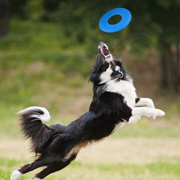 Nerf Dog Rubber Tire Flyer Disc for Endless Fun