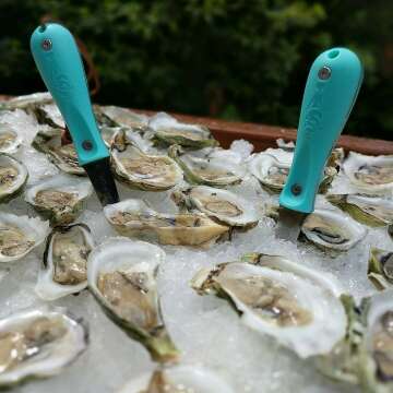 Toadfish Oyster Shucking Knife - Easy Oyster Opener