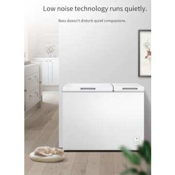 10.0 Cubic Feet Chest Freezer with Lock & Removable Basket - Low Noise, Compact Design for Home, Garage, Office