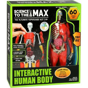 Kids Interactive Anatomy Kit - Fun and Educational