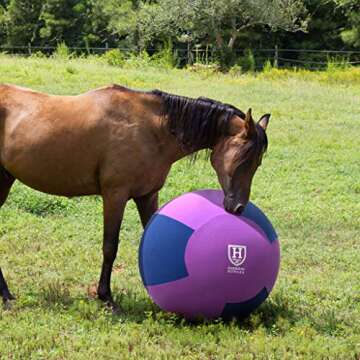 Harrison Howard Howdy Bally Horse Mega Ball Cover for Equine 40-Inch Purple/Blue