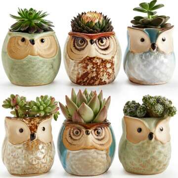 Ceramic Owl Succulent Plant Pot Set