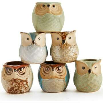 Ceramic Owl Succulent Plant Pot Set