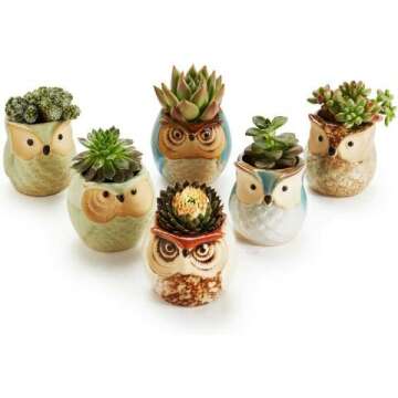 Ceramic Owl Succulent Plant Pot Set