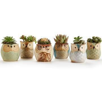 Ceramic Owl Succulent Plant Pot Set