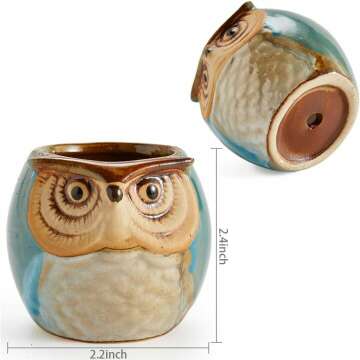 Ceramic Owl Succulent Plant Pot Set