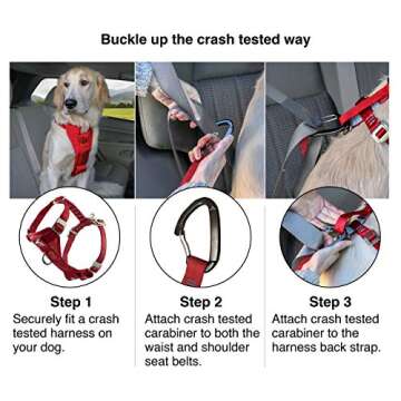 Kurgo Tru-Fit Enhanced Strength Dog Harness - Crash Tested Car Safety Harness for Dogs, No Pull Dog Harness, Includes Pet Safety Seat Belt, Steel Nesting Buckles (Deep Violet, Small)