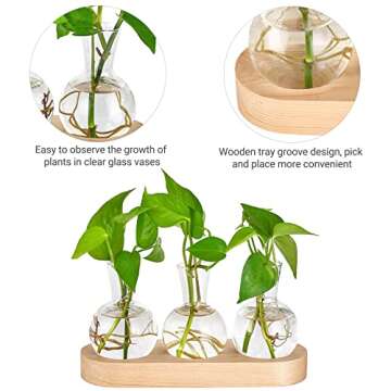 Mkono Desktop Plant Propagation Glass Vase Station Retro Plant Terrarium with Wooden Tray Bulb Flower Vase Container Perfect for Propagating Hydroponic Plants Home Office Decor Plant Lover Gift Idea