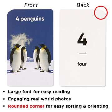 Think Tank Scholar Numbers Flash Cards for Toddlers - Counting Flashcards for Kids Ages 4-8 Years Old Numbers 0-100, Learn Numbers, Learn Numerical Order, Learn to Count - Math Practice Real Pictures