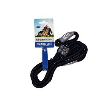 Cesar Millan Slip Lead Leash™ - 2-in-1 Slip Collar Dog Training Lead & Collar | Heavy Duty Durable Weatherproof Rope Leash, No Pull Training | Length 4ft Diameter 4/10”(Regular, Black)