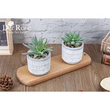 Der Rose Set of 2 Succulents Plants Artificial Fake Plants for Living Room Bathroom Bedroom Aesthetic Home Shelf Decor