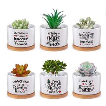 Cute Teacher Appreciation Succulent Gift Set