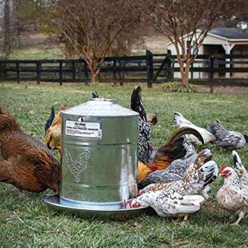 Harris Farms Chicken Waterer - Galvanized Steel - Double Wall Poultry Drinker - 2 Gallon