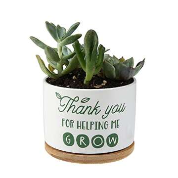 DOMG  Ceramic Succulent Plant Pot Small Flower Planter for Indoor Outdoor Use- Gift for teacher